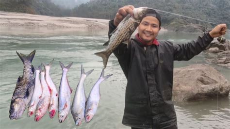 Incredible Fishing In Siang River Arunachal Pradesh Youtube