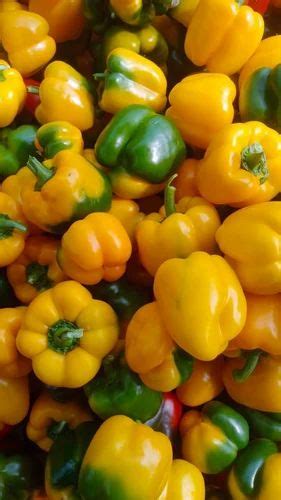 Fresh Yellow Capsicum Packaging Size Kg At Rs Kg In Bellary