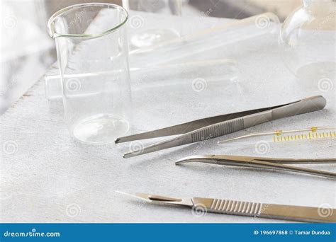 Kit De Disección Herramientas De Acero Inoxidable Para Estudiantes De