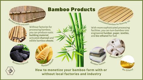 Bamboo Products Infographic Bambu Batu