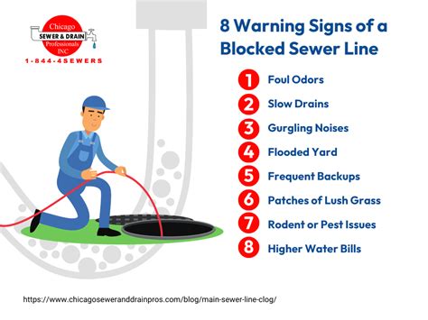 8 Warning Signs Of A Blocked Sewer Line Chicago Sewer And Drain Pros