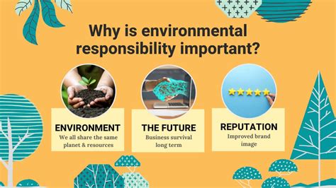 Environmental Responsibility Definition & EXAMPLE