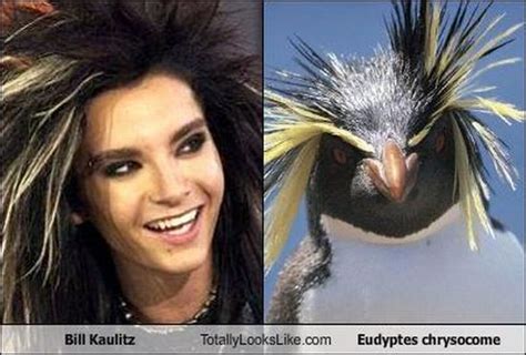 Funny Look Alikes 67 Pics