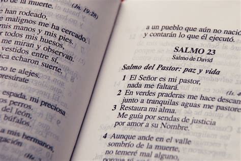 Qu Son Los Salmos Y Para Qu Sirven Primeros Cristianos