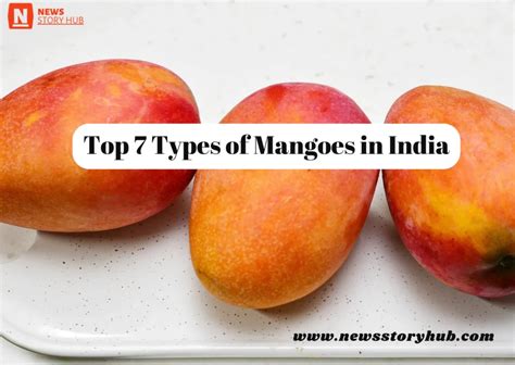 Top 7 Types Of Mangoes In India News Story Hub