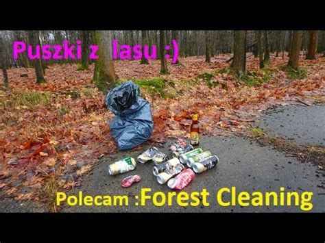 Ile Mo Na Zarobi Na Zbieraniu Mieci Z Lasu Youtube