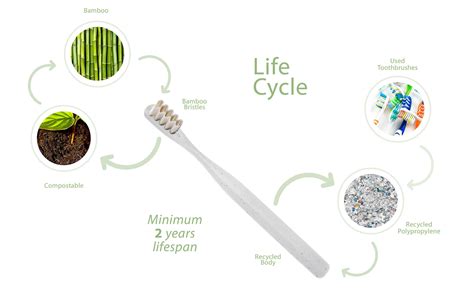 Everloop Toothbrush By Nos Comes With Replaceable Bristles Lifespan Of