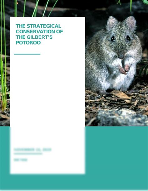 The conservation of endangered species-Gilbert's potoroo | Biology ...