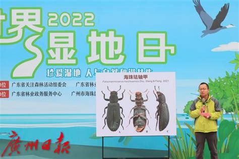 海珠湿地又发现新物种，“全民科学家”项目成绩斐然