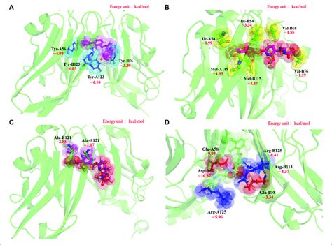 The Structures Of Four Key Residue Groups Of The Mm Pbsa Binding Free