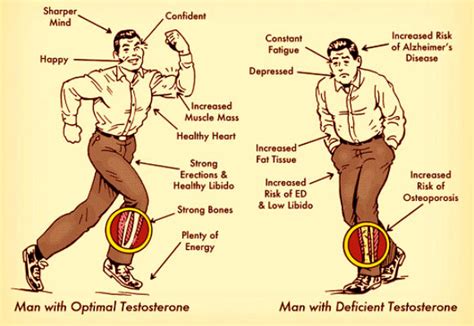 High Testosterone Levels In Men Signs Symptoms And Side Effects