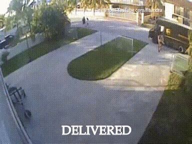 Delivered Delivered Package Delivered Safely Delivered Discover