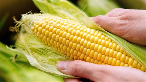 What The Corn Industry Doesn't Want You To Know