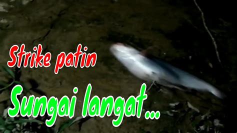 Strike Patin Sungai Langat Youtube