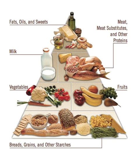 United States Food Pyramid