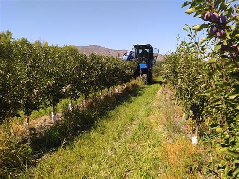 Pti Agroterritorio En Terreno Agroterritorio