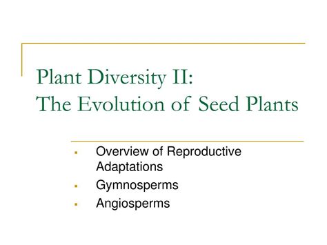 Ppt Plant Diversity Ii The Evolution Of Seed Plants Powerpoint