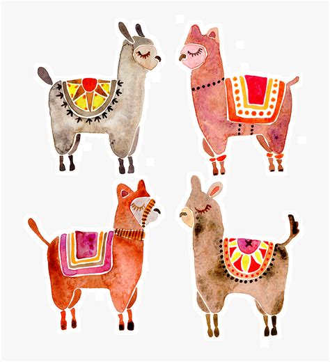 Vector Transparent Library Alpaca Clipart Animal American Alpacas By