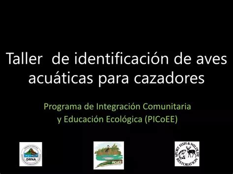 PPT Taller de identificación de aves acuáticas para cazadores