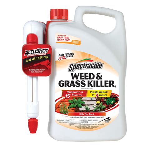 Top 6 Best Weed Killers In 2025