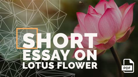 Short Essay On Lotus Flower Words With Pdf English