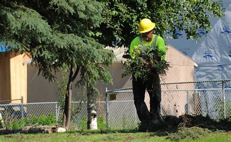 Brush Chipping Services Fairbanks Stump Grinders