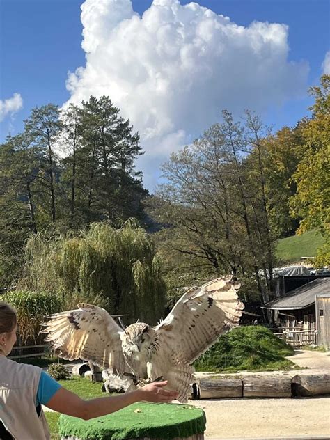 Ausflug in den Sikypark in Creminés BE Elim Stiftung für Eltern und