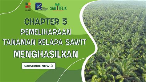 Sawitflix Chapter 3 Pemeliharaan Tanaman Kelapa Sawit Menghasilkan