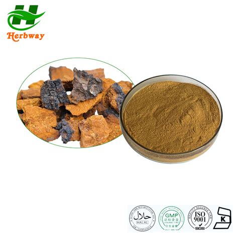 Herbway Kosher Halal Fssc Haccp Certified Chaga Mushroom Extract For