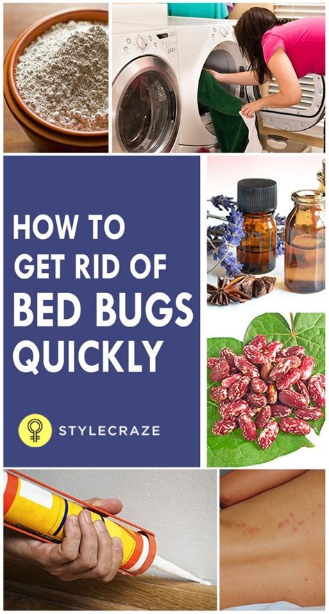 Here Are Some Simple And Natural Methods You Can Use To Get Rid Of These Annoying Pests In Your