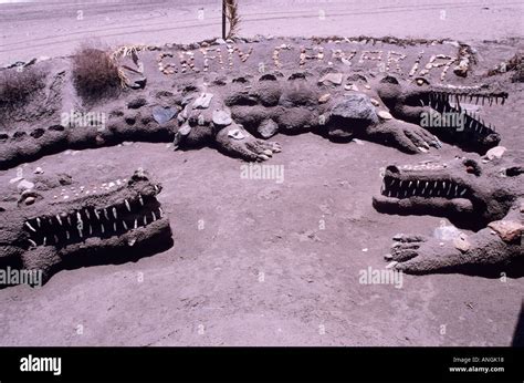 Crocodile Sand Sculptures Beach Playa Del Ingles Gran Canaria Island