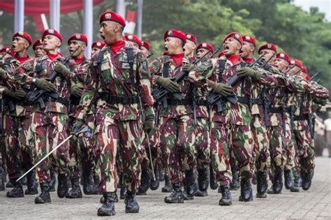 24 Urutan Pangkat Angkatan Laut Terpopuler