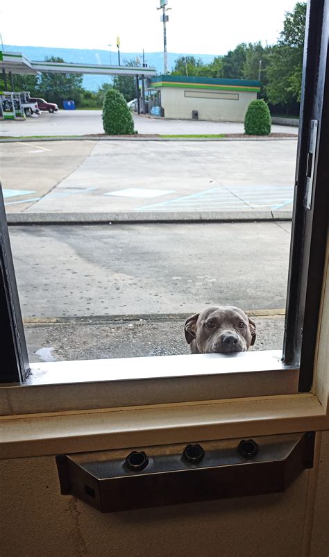 I'm sorry sir, but for safety reasons we can't allow walk-ups in drive