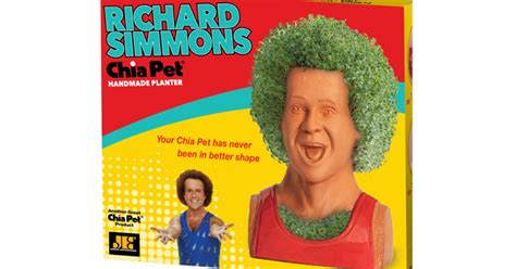 Chia Pet Richard Simmons Only $13.50! - Common Sense With Money