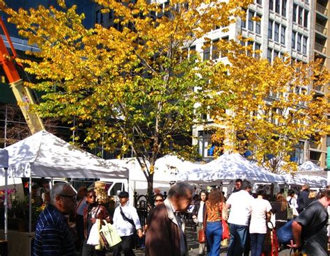 66 Square Feet (Plus): Union Square Farmers' Market in October