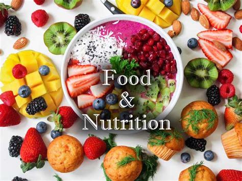 Food And Nutrition Previous Year Question Papers For Practice