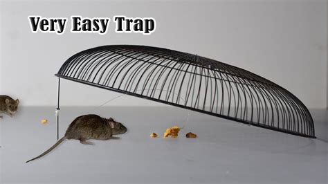 Diy Electric Mouse Trap Diy Electric Rat Trap 🐀 3 Mice In Trapped 1