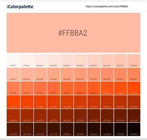 Pantone Tpx Peach Nectar Color Hex Color Code Ffbba