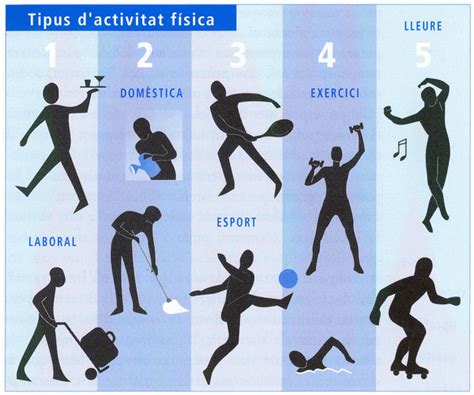 Diferències entre lactivitat física exercici físic i lesport merce