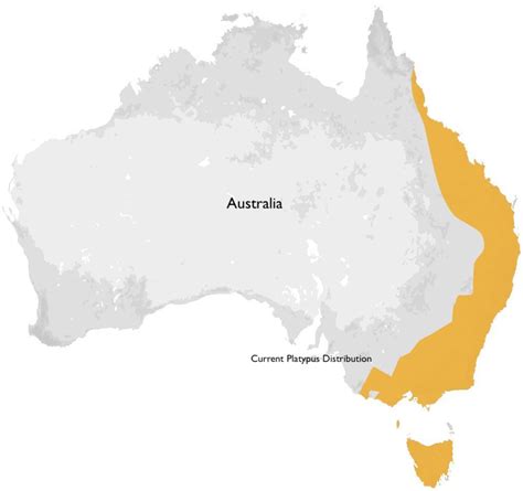 Platypus Habitat Map