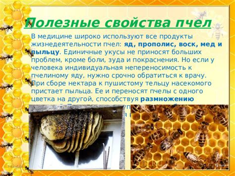 Презентация "Пчелы"