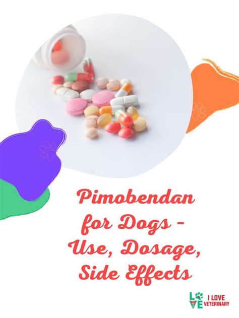 Pimobendan For Dogs Use Dosage Side Effects I Love Veterinary