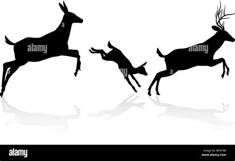 Deer Family Silhouette Stock Vector Image & Art - Alamy