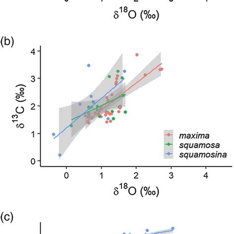 A Relationship Between δ¹⁸o And δ¹³c Values By Shell Layer B