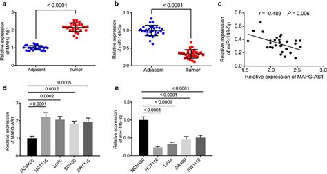 High Expression Of Lncrna Mafg As1 And Low Expression Of Mir 149 3p Are