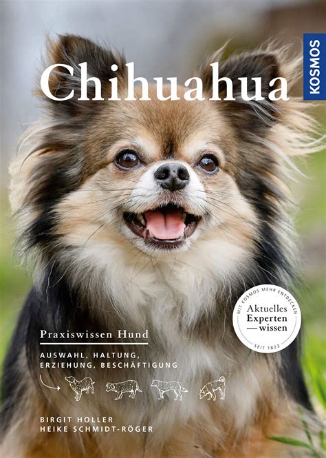 Chihuahua Auswahl Haltung Erziehung Besch Ftigung Holler Birgit