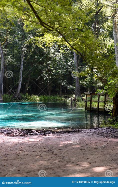 Fresh Water Springs Florida USA with Beautiful Blue Clear Water Stock ...