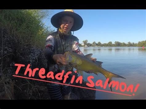 Landbased Threadfin Salmon Fishing Brisbane EP 14 TFF YouTube