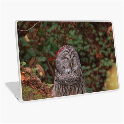 Cute owl on laptop skin : r/redbubble