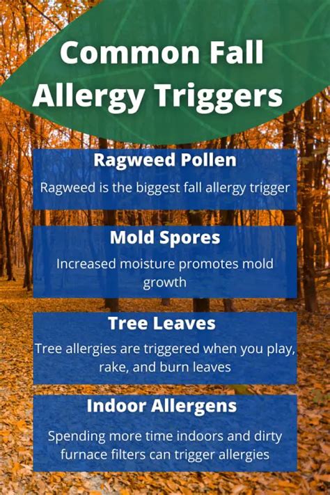 Fall Allergies Survival Guide - Allergy Preventions